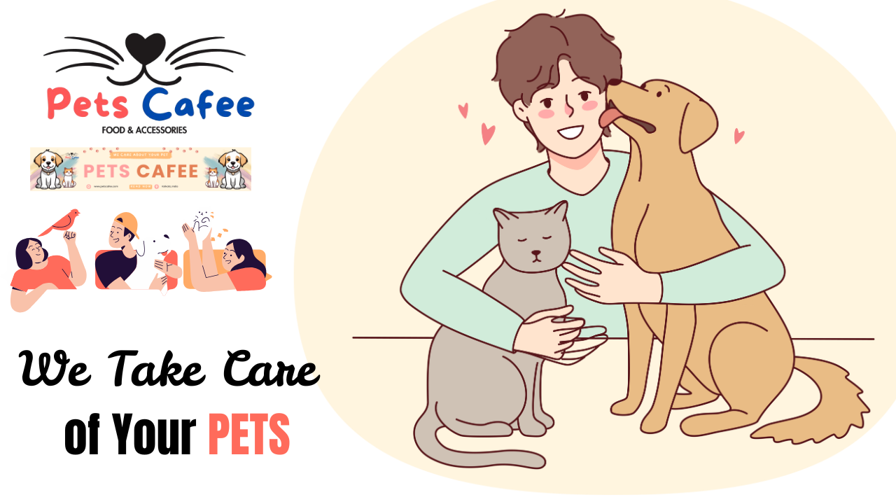 pets lover in the USA