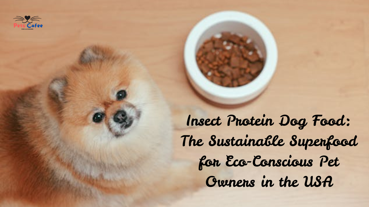 Insect Protein Dog Food