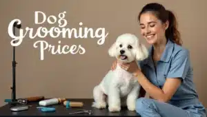 dog grooming prices