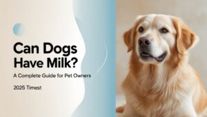 Can Dogs Have Milk