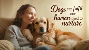 Dogs can fulfill our need to nurture