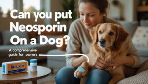 can you put Neosporin on a dog
