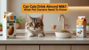 can cats drink almond milk