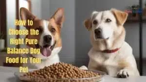 pure balance dog food