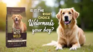 Taste of the Wild Dog Food
