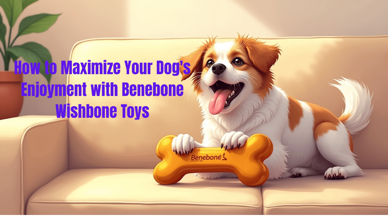 Benebone Wishbone Toys